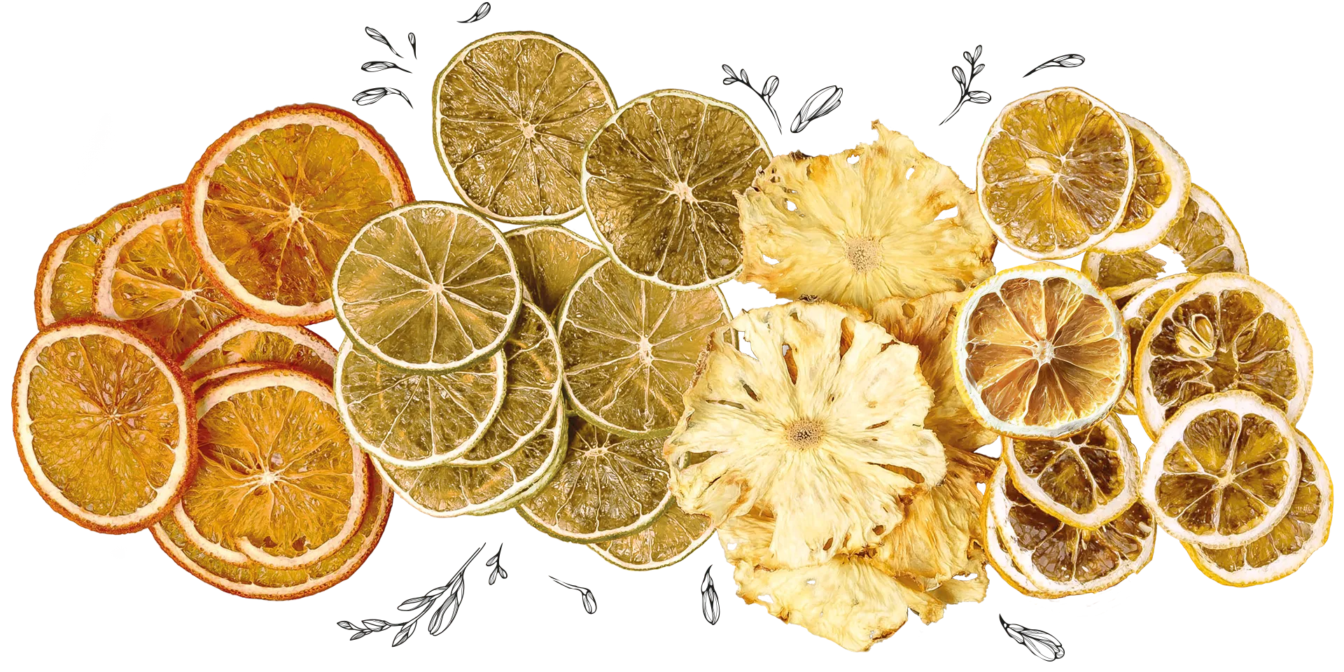 GOLDBERG_Secret_Garden_Fruits_Header_2